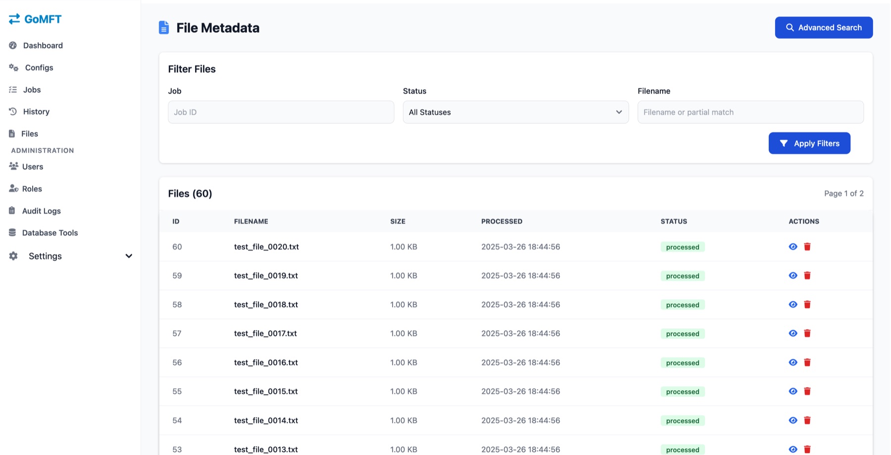 GoMFT File Metadata page with filters for job, status and filename, and a table of 60 files showing ID, filename, size, processed time and status.